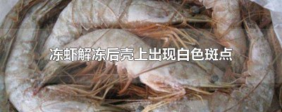 ​冷冻虾虾壳有白斑 冻虾解冻后虾皮下有白斑