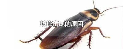 ​什么原因产生蟑螂 什么原因导致有蟑螂