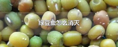 ​怎么去除绿豆的虫子 怎么去除绿豆的虫卵