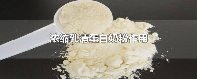 ​婴儿奶粉里乳清蛋白的作用 乳清蛋白浓缩粉的作用和功效