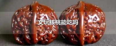 ​文玩核桃能吃吗? 文玩核桃能吃吗有毒吗