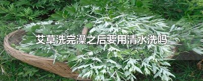 ​艾草泡澡后还需清水冲洗吗 艾草洗澡需要清水清洗吗