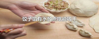 ​饺子馅放水有什么作用和功效呢 饺子馅加水吗?