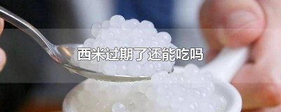 ​过期的西米能吃吗 西米过期了吃了会怎样