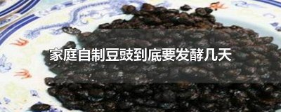 ​家庭自制豆豉到底要发酵几天才能用 农家自制豆豉发酵多长时间