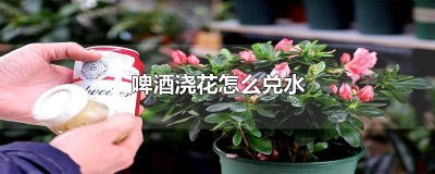 ​浇花用啤酒兑水行吗 啤酒浇花还用兑水吗