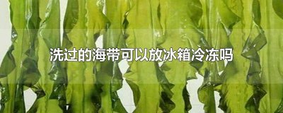 ​清洗干净的海带能放冰箱冷冻吗 洗过的海带能放冰箱吗