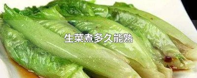 ​生菜煮熟需要几分钟 生菜要煮多少分钟煮熟