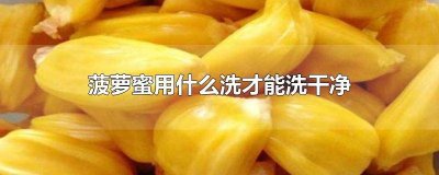 ​菠萝蜜用什么水洗 菠萝蜜用什么清洗