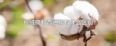 ​长绒棉和普通棉什么区别 长绒棉和棉花区别