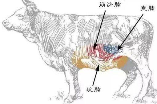 历史上中国哪里的牛肉面最好吃?