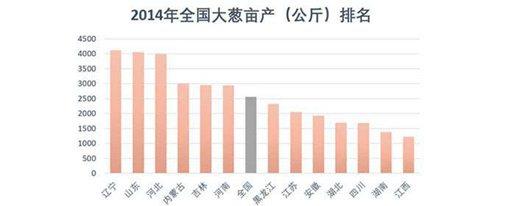 山东人为什么喜欢生吃大葱?