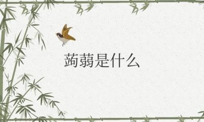 ​蒟蒻是什么植物（这种东西长什么样子图片）