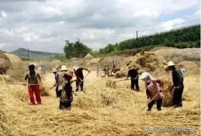 ​大锅饭什么意思（聊一聊大锅饭的历史演义和未来前景）