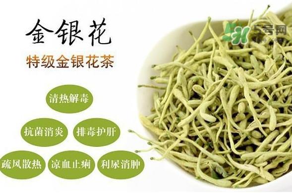 金银花茶是去火的吗？金银花茶有什么功效与作用