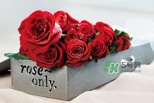 roseonly永生花可以保存多久？roseonly永生花保养