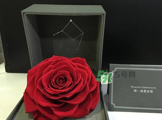 roseonly永生花可以保存多久？roseonly永生花保养