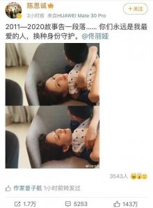 ​佟丽娅陈思诚520官宣离婚：结婚6年被曝6次出轨，她终于不忍了