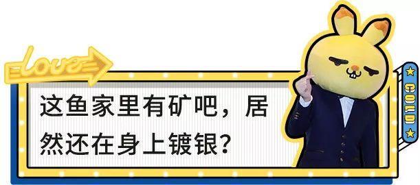 刘昊然这是在广场上流鼻涕了吗？也太不注意形象了哈哈哈哈！