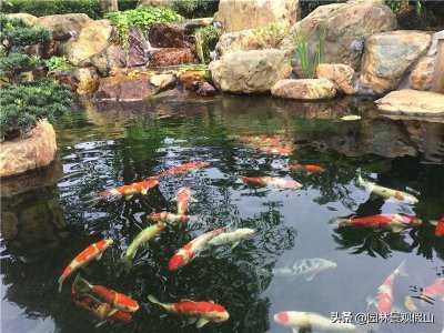 ​简单而大气、小巧又精致的庭院鱼池原来就是这个样子