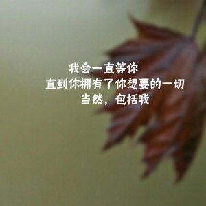 ​三行情书壁纸（无水印）